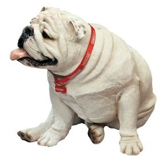White English Bulldog Dog Picture