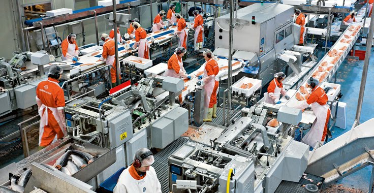 Drawing Lines In Processing : Seguridad higiene y tecnologia de alimentos