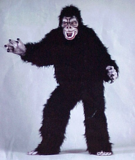 [gorilla.jpg]