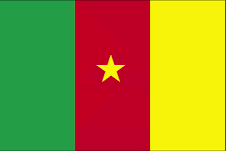 Cameroonian Flag