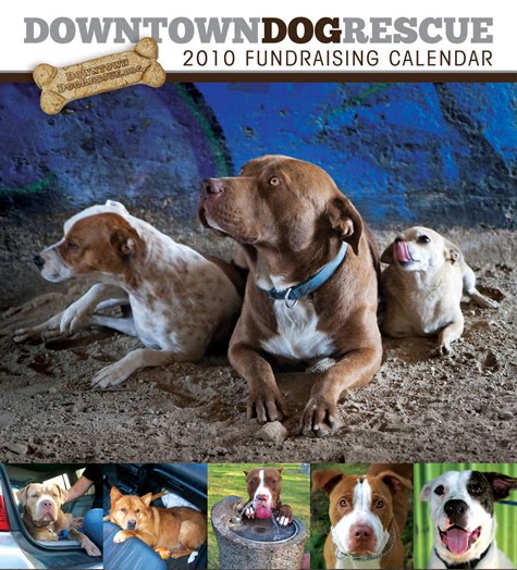 [DDRCalendar_2010.jpg]