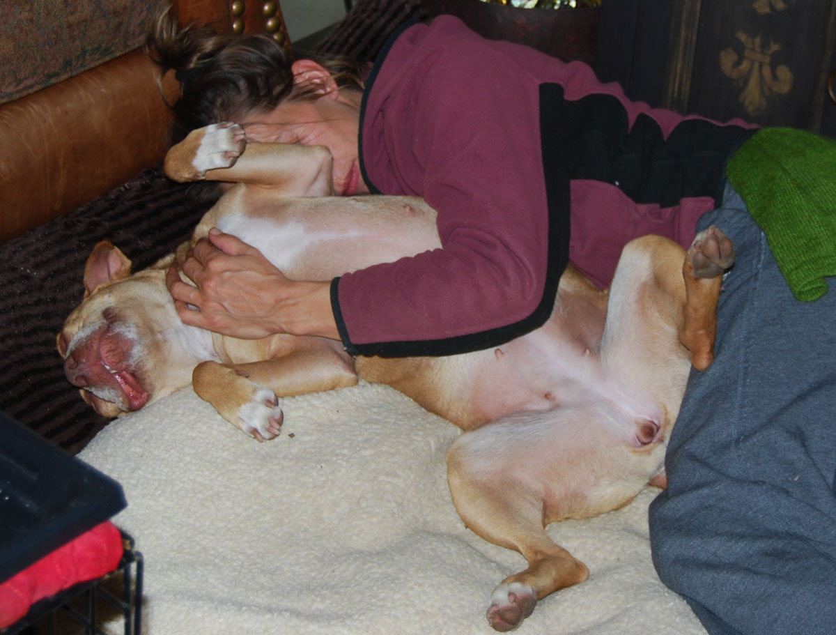 [mia+P+cuddle.jpg]