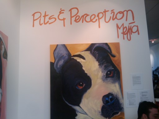 [pitperception+012.jpg]