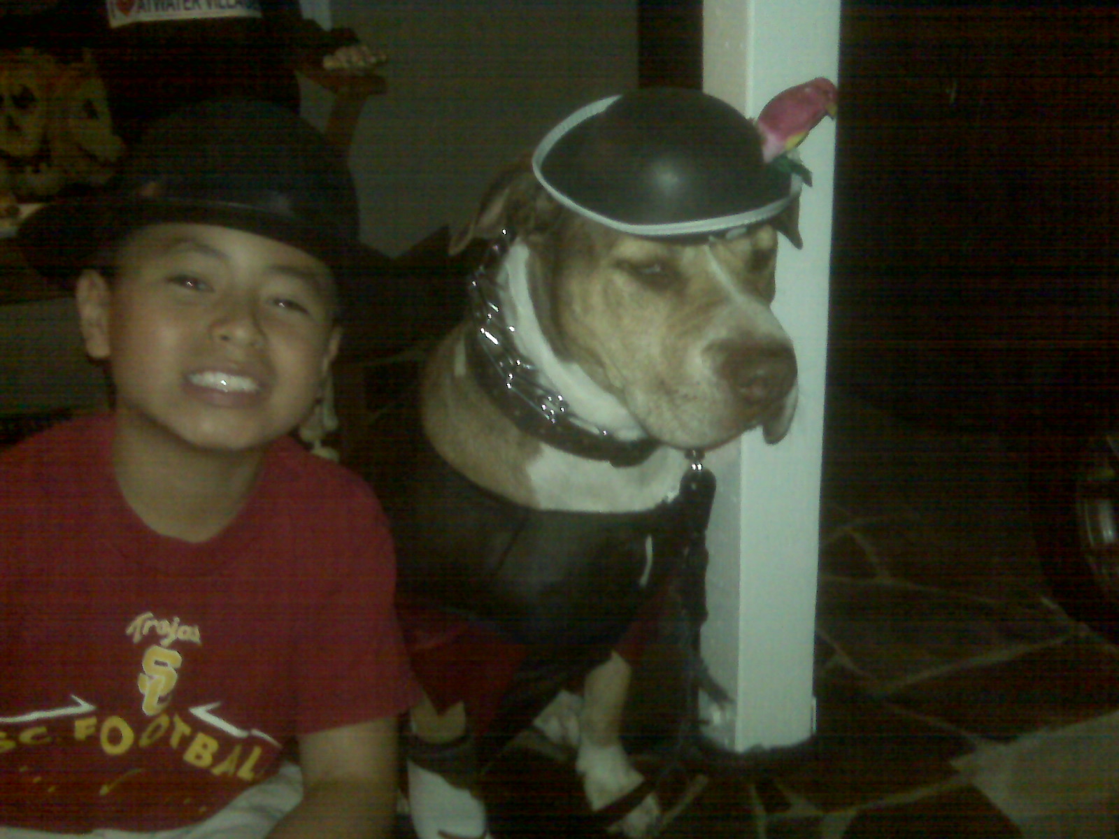 [piratecostume.jpg]
