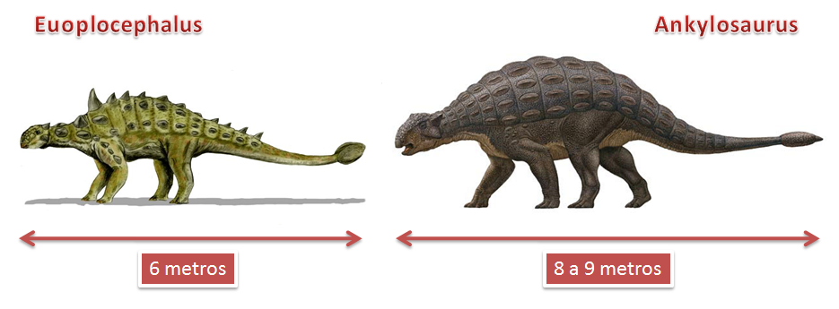 comparaci%C3%B3n+euoplocephalus+.+ankylosaurus.png
