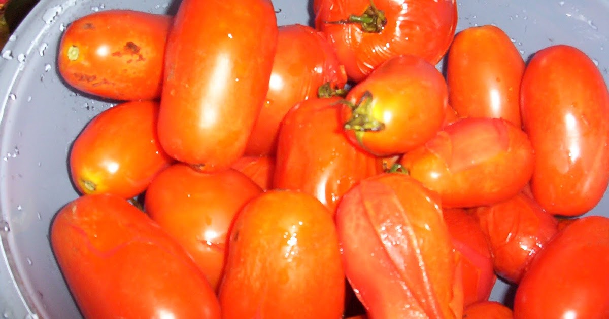 Saving Money 101 Making Stewed Tomatoes or Spaghetti Sauce