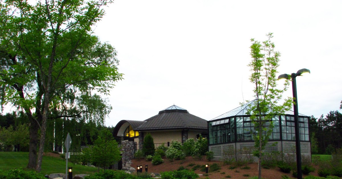 The Daily Rant Cows, Coffee And BJ's