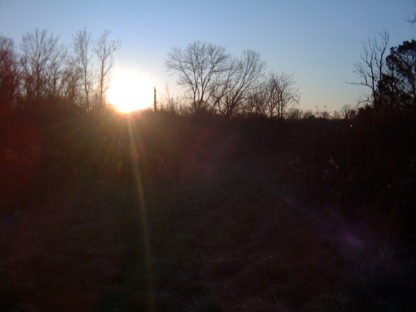 [iPhone+Pics+075.JPG]