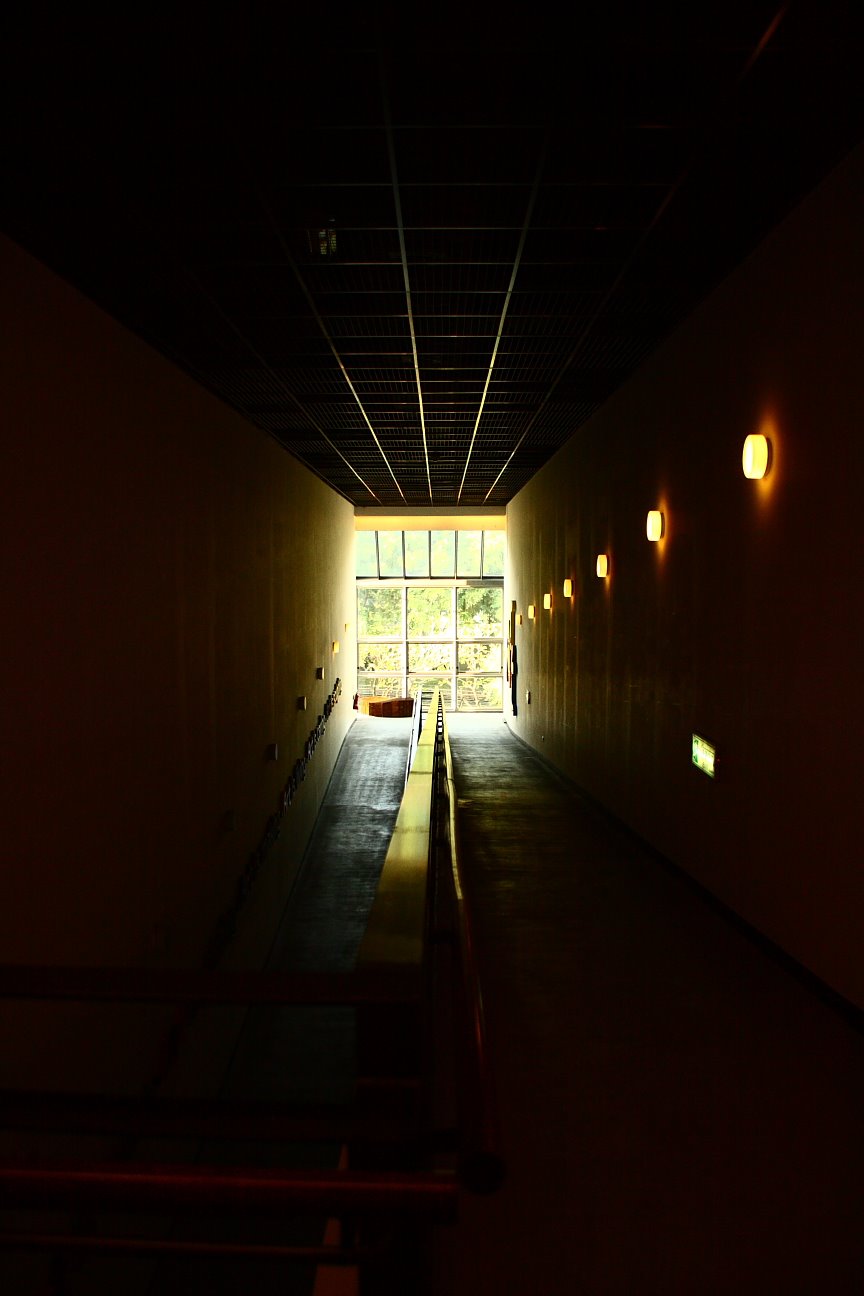 [Copy+of+IMG_3703.JPG]