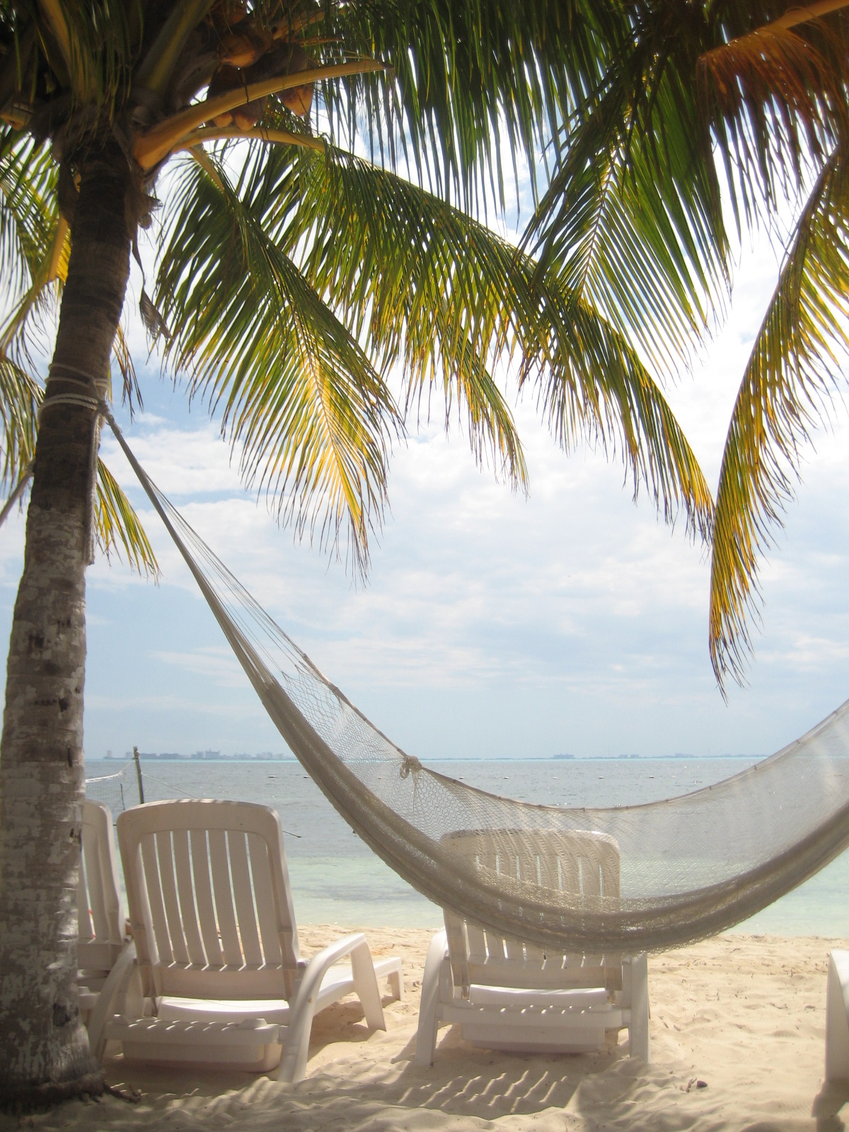 [Hammock_by_AkiraWhiteMermaid.jpg]