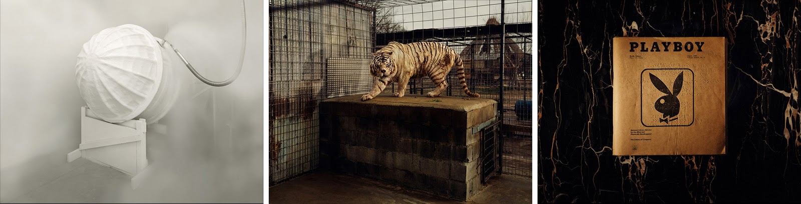 rencontres d'arles discovery award 2011