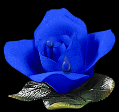 NO AZUL DE MEU AZUL ESTÁ TEU AZUL ...