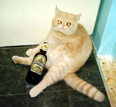 DRUNK+CAT.jpg