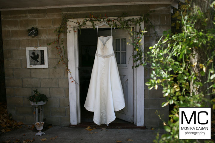 Blue Dress Barn Wedding Joanna Steve