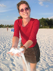 Siesta Key and Beach