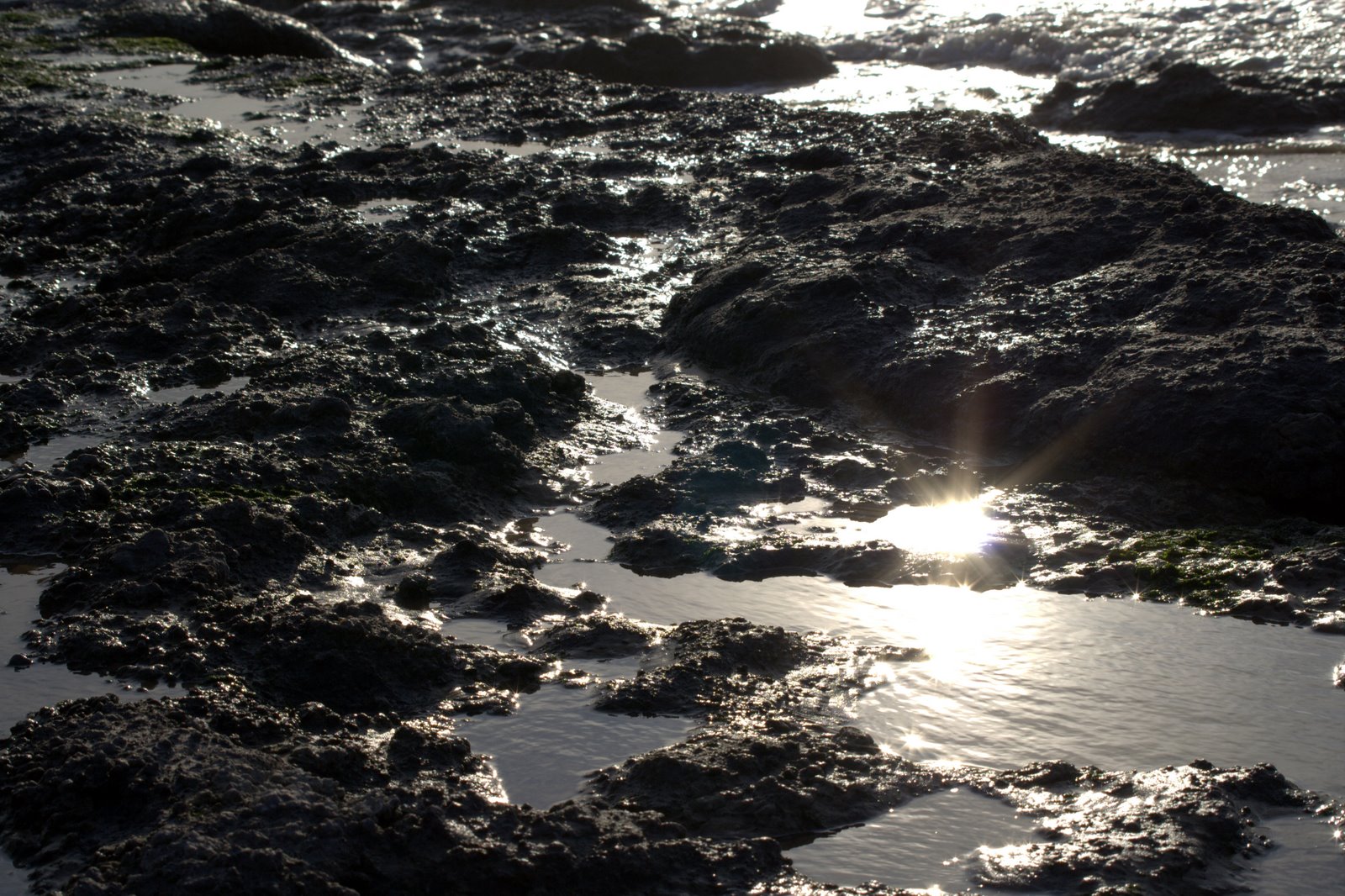 [IMG_0258.CR2.jpg]