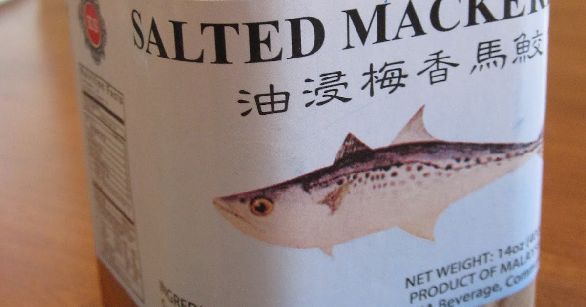 Cannundrums Salted Mackerel in Oil