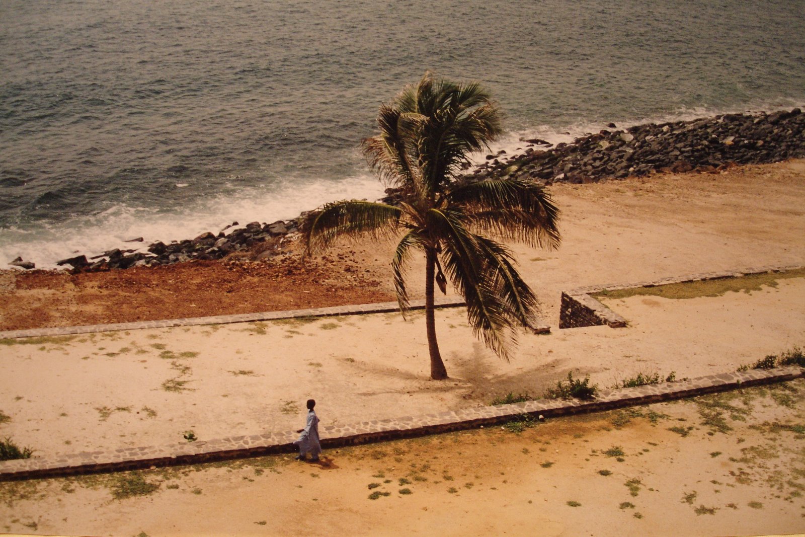 [DSC01364.JPG]