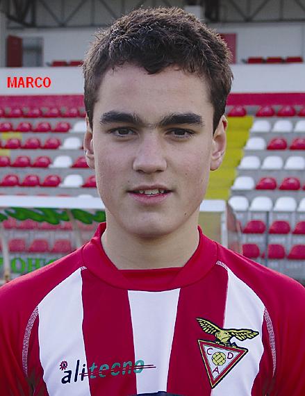 [MARCO+RIBEIRO1.JPG]