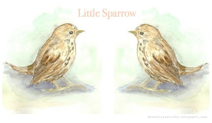 Little Sparrow