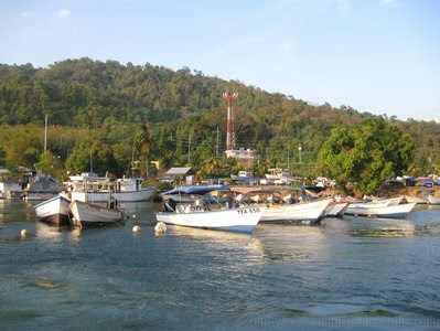 What have I been up to? - Scotland Bay Lime 21 IMG 7062