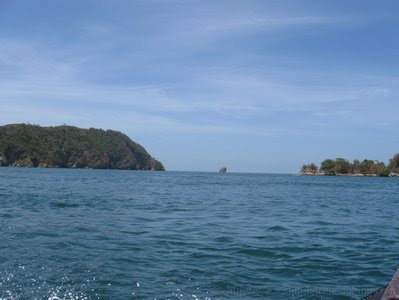 What have I been up to? - Scotland Bay Lime 6 IMG 6829