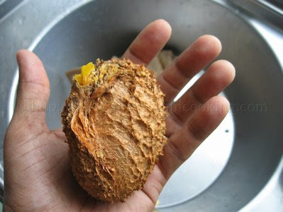 What have I been up to? Enjoying ah Mamey Apple 13 IMG 8653