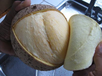 What have I been up to? Enjoying ah Mamey Apple 5 IMG 8641