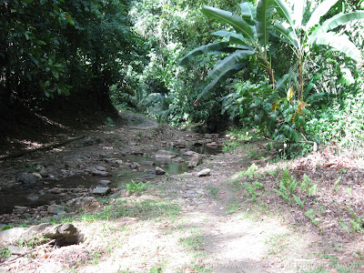 Morang River 16 IMG 1748