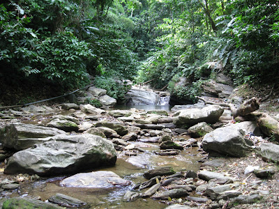 Morang River 18 IMG 1751