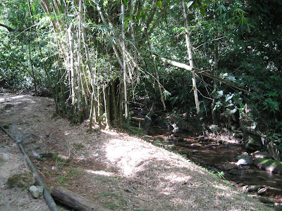 Morang River 11 IMG 1740