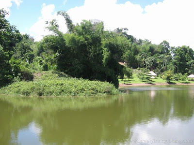 What Have I been up to? Liming at La Vega 2 IMG 9377