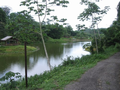 What Have I been up to? Liming at La Vega 9 IMG 9547