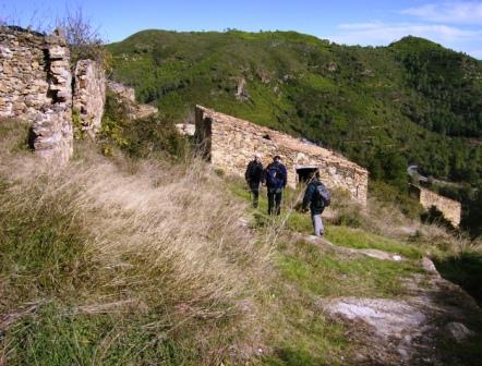 [pr-cv276+ayodar-villamalur-ayodar+29-11-2008+001+(49).jpg]