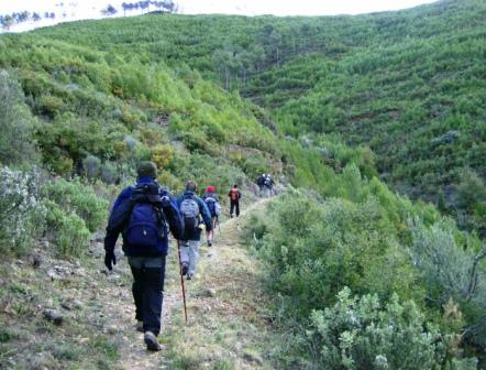 [pr-cv276+ayodar-villamalur-ayodar+29-11-2008+001+(18).jpg]