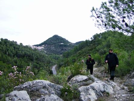 [pr-cv276+ayodar-villamalur-ayodar+29-11-2008+001+(36).jpg]