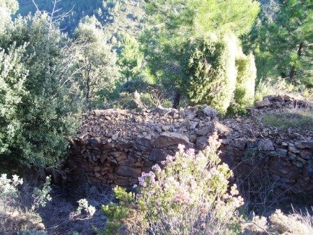 [MATET-+ALGIMIA+DE+ALMONACIR+24-1-2009+022.jpg]