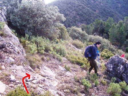 [MATET-+ALGIMIA+DE+ALMONACIR+24-1-2009+051.jpg]