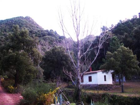 [MATET-+ALGIMIA+DE+ALMONACIR+24-1-2009+081.jpg]