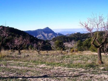 [ASCENSIÓN+AL+MAIGMÓ+005.jpg]