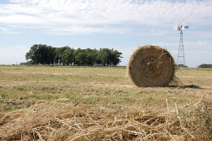 El paisaje de cosecha