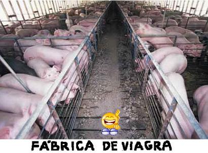 [espera+post532.JPG]