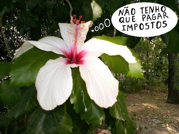 [espera+post8a.JPG]