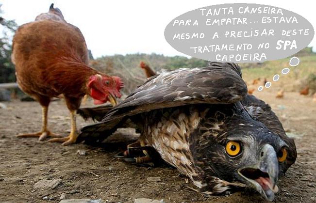 [espera+post205m.JPG]