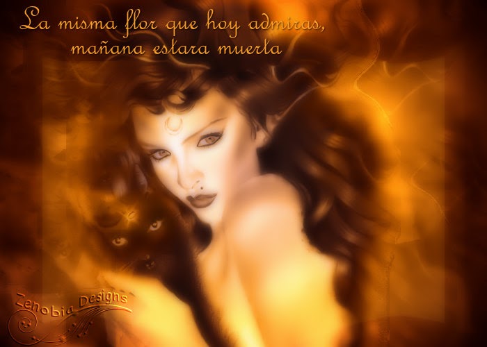 Resultado de imagen de ZENOBIA ART IMAGENES CON FRASES