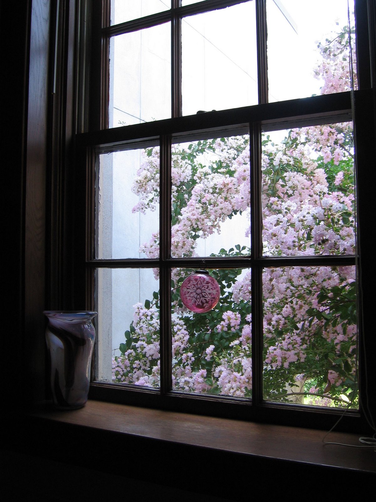 [pink+window.jpg]