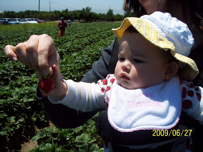 Strawberry picking!