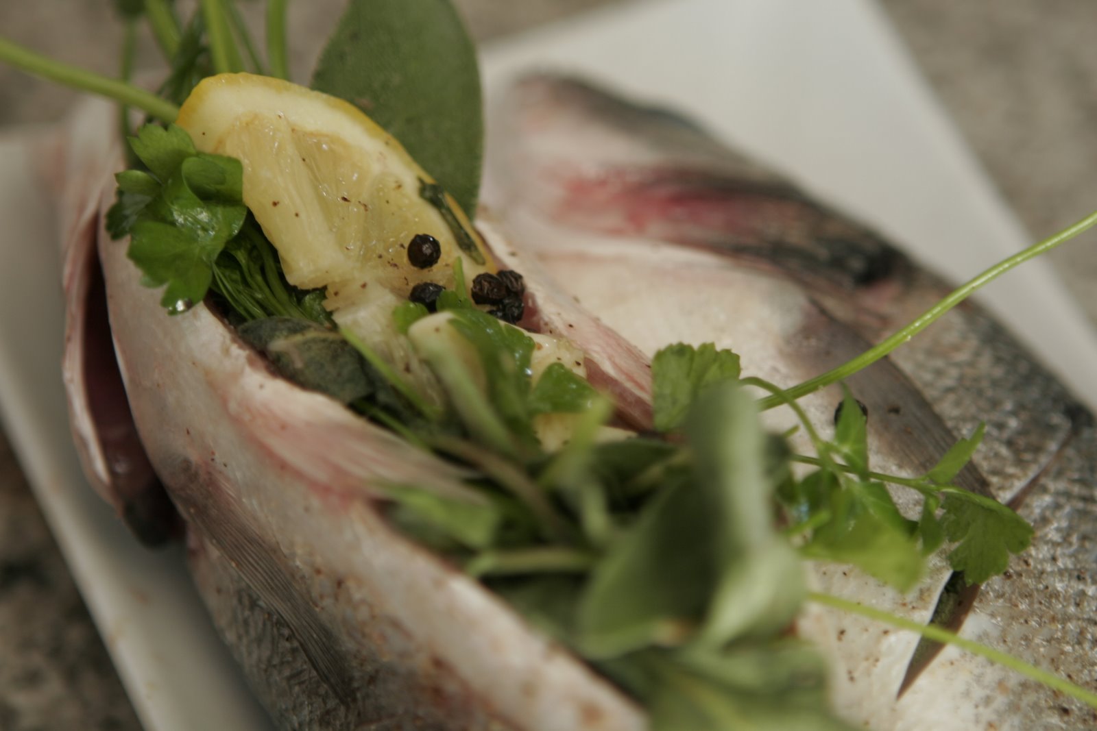 [FishStuffed.JPG]