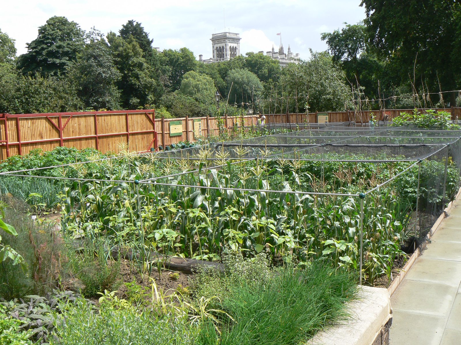 [allotment-st.james.park07+(2).JPG]