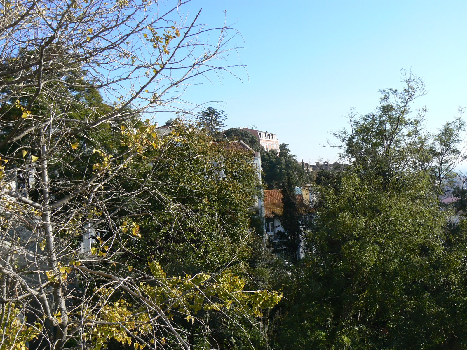 [Jardim-Torel1.JPG]